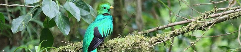 San Gerardo de Dota costa rica voyage agence de voyage quetzal